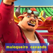 maloqueiro cavando sua cova portal zacarias